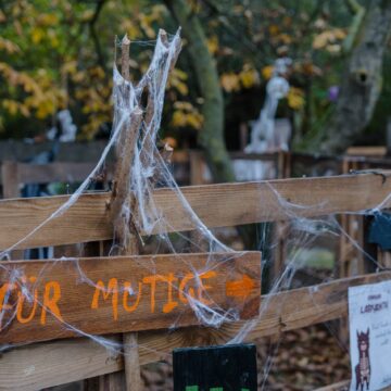 Halloween-Wegweiser „Für Mutige" mit Spinnweben auf dem Sonnenland Alpakas Hof Halloween-Wegweiser „Für Mutige" mit Spinnweben auf dem Sonnenland Alpakas Hof