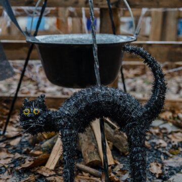 Halloween-Deko: schwarze Katze und Hexenkessel auf dem Sonnenland Alpakas Hof Halloween-Deko: schwarze Katze und Hexenkessel auf dem Sonnenland Alpakas Hof