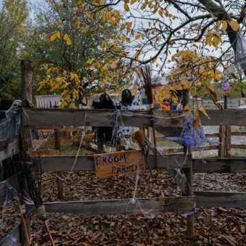 Halloween-Schild „Broom Parking" am Zaun von Sonnenland Alpakas Halloween-Schild „Broom Parking" am Zaun von Sonnenland Alpakas