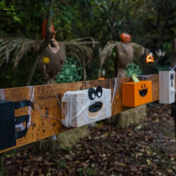 Halloween-Deko mit Vogelscheuche und Kürbissen auf dem Sonnenland Alpakas Hof Halloween-Deko mit Vogelscheuche und Kürbissen auf dem Sonnenland Alpakas Hof