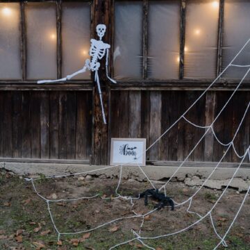 Halloween-Dekoration mit Skelett, Spinne und Spinnennetz auf dem Sonnenland Alpakas Hof Halloween-Dekoration mit Skelett, Spinne und Spinnennetz auf dem Sonnenland Alpakas Hof