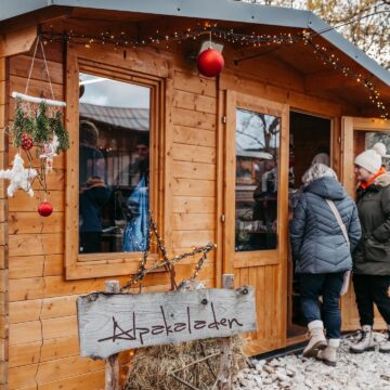 Alpakaladen von Sonnenland Alpakas weihnachtlich dekoriert Alpakaladen von Sonnenland Alpakas weihnachtlich dekoriert