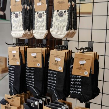 Shop_cLauraJagoschuetz-23