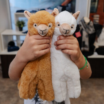 Shop_cLauraJagoschuetz-9